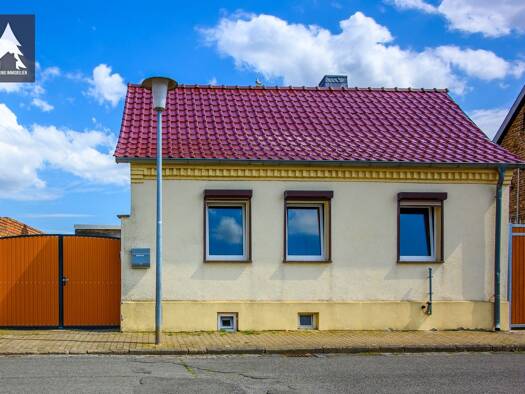 Einfamilienhaus zum Kauf 49.000 € 4 Zimmer 95 m² 498 m² Grundstück Hinter dem Dorf 134 A Frose Seeland 06464