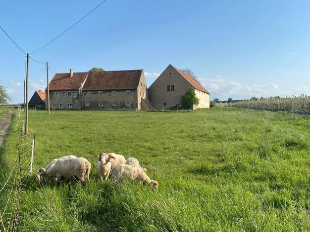 Haus zum Kauf 580.000 € 14.312 m² Grundstück frei ab sofort Ebenheit Pirna 01796