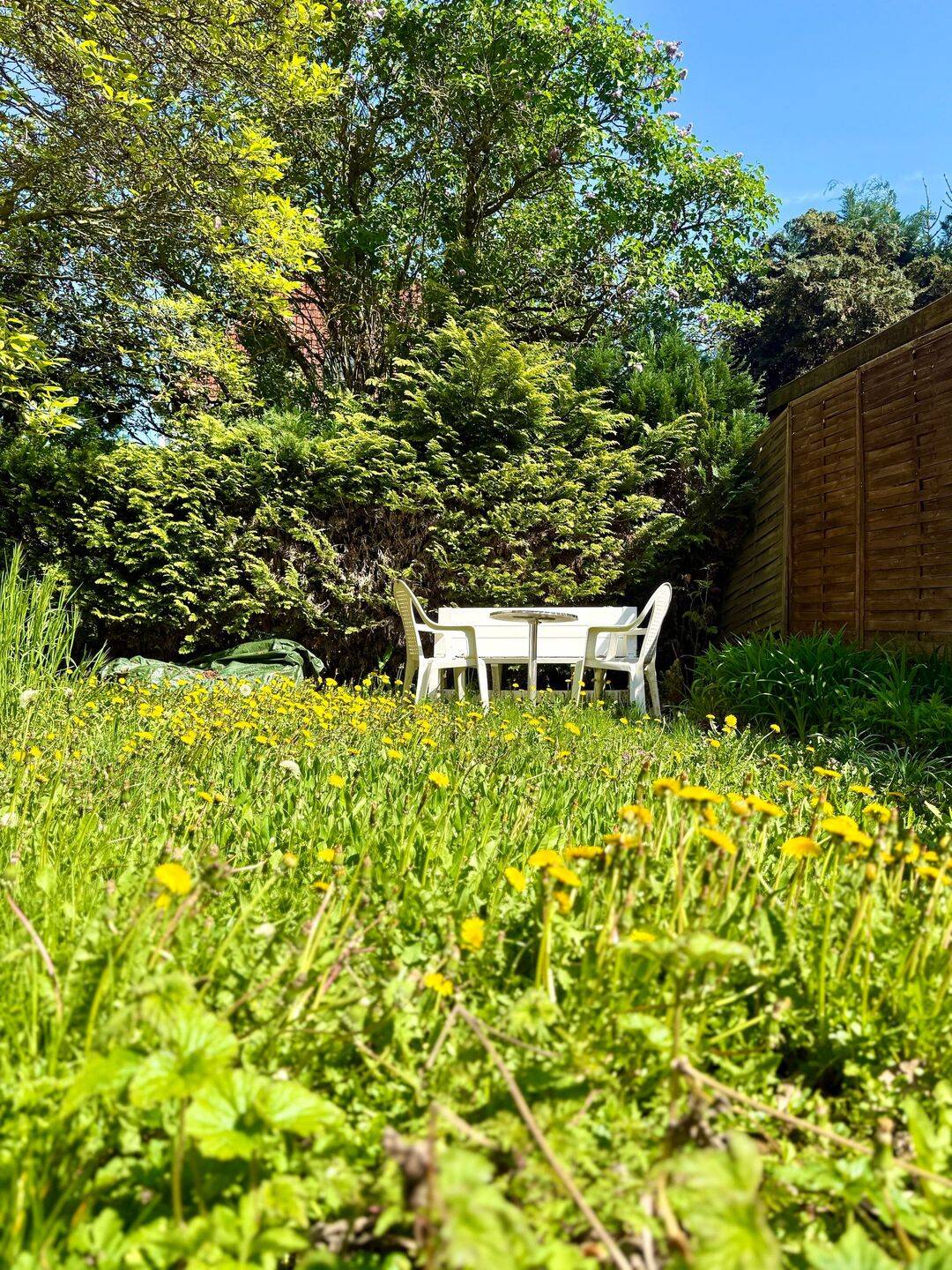 Immobilie in Weimar - Familientaugliches Haus in kompakter Größe mit Garten, Terrasse und Modernisierungsbedarf - Bild 0