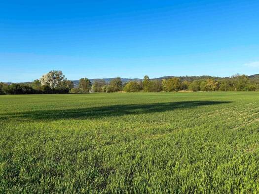 Landwirtschaftliche Fläche zum Kauf 1.290.000 € 39.407 m² Grundstück Wilhering 4073