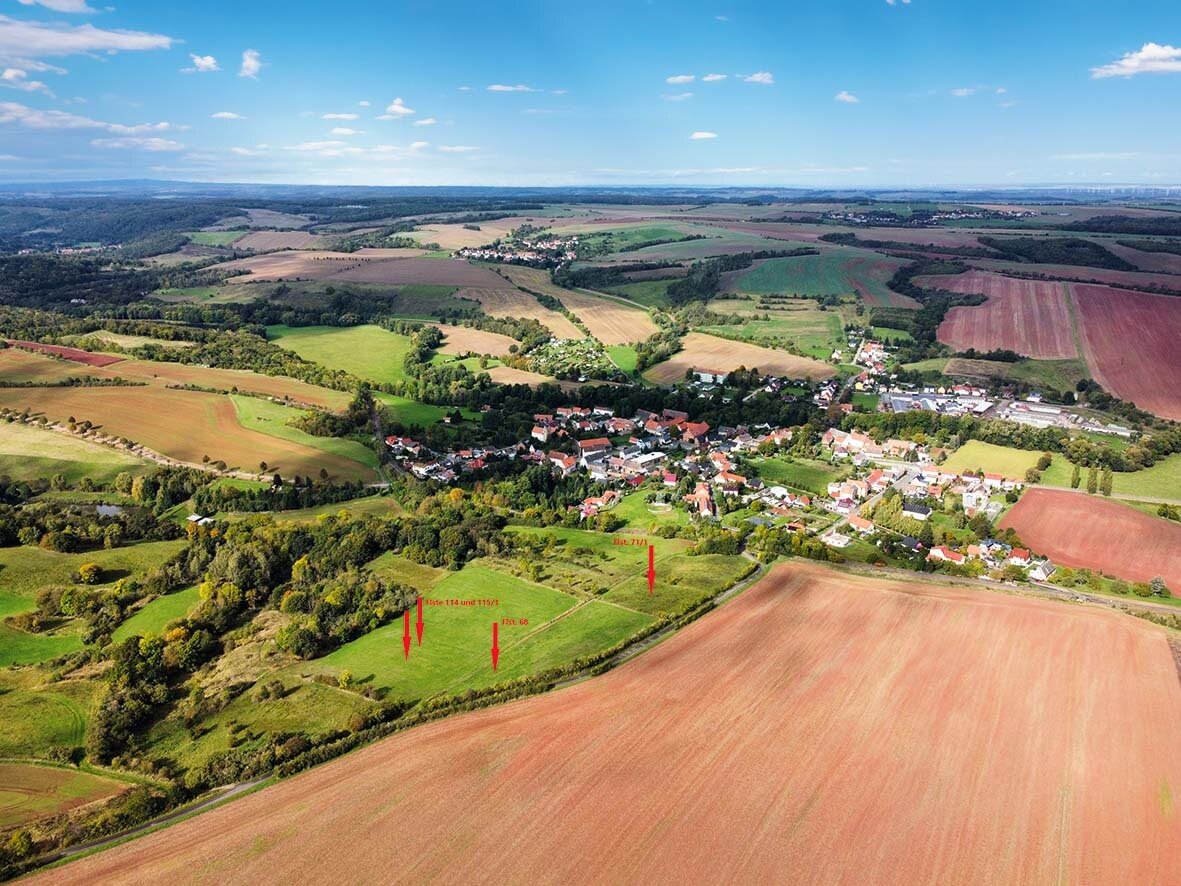 Landwirtschaftliche Fläche zur Versteigerung 1.500 € 5.840 m²<br/>Fläche Mansfeld Mansfeld 06343