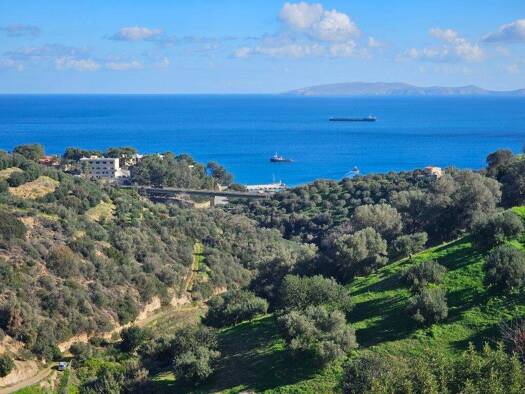 Land-/Forstwirtschaft zum Kauf 660.000 € 12.329 m² Grundstück Kreta