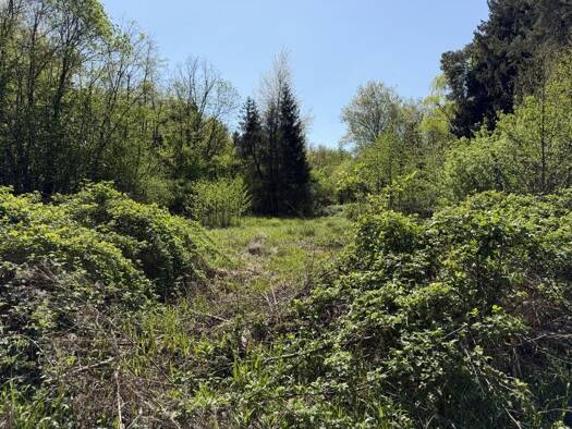 Grundstück zum Kauf 189.000 € 1.365 m² Grundstück Hostenbach Wadgassen 66787