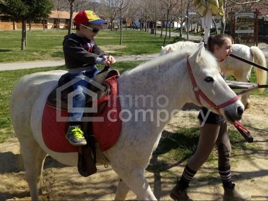 Freizeitgrundstück zum Kauf 80.000 € 7.250 m² Grundstück Unterfrauenhaid 7321
