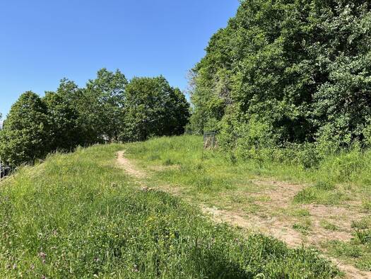 Grundstück zum Kauf provisionsfrei 100.000 € 489 m² Grundstück Prüm Prüm 54595