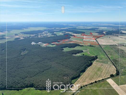 Land-/Forstwirtschaft zum Kauf 212.900 € 268.749 m² Grundstück Elsholz Beelitz 14547