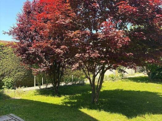 Einfamilienhaus zum Kauf provisionsfrei 969.000 € 4 Zimmer 156 m² 363 m² Grundstück Forstinning 85661