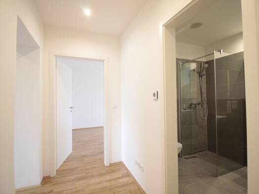 Wohnung zum Kauf 299.000 € 3 Zimmer 77,4 m² 1. Geschoss Olbrichtstr. 4 K Gohlis-Nord Leipzig 04157