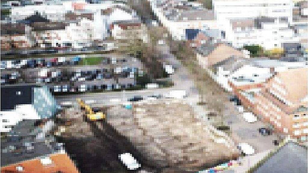 Grundstück zum Kauf als Kapitalanlage geeignet 2.700.000 € 1 Zimmer 6.000 m² Grundstück Reick Dresden 01237