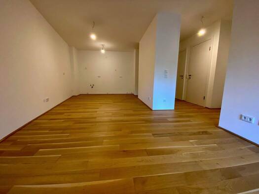 Wohnung zum Kauf - Erstbezug provisionsfrei 399.990 € 2 Zimmer 54,9 m² EG Waldegg Linz 4020