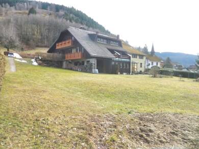 Mehrfamilienhaus zum Kauf 595.000 € 14 Zimmer 449,5 m² 3.192 m² Grundstück Brandenberg Todtnau 79674