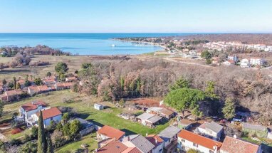 Land-/Forstwirtschaft zum Kauf 330.000 € Novigrad 52466