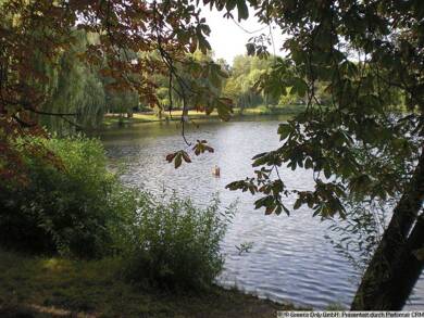 Wohnung zum Kauf 175.000 € 1 Zimmer 30 m² 1. Geschoss Wedding Berlin 13351