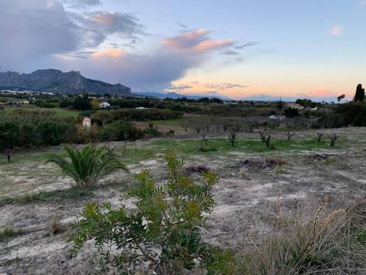 Acker-/Waldstück zum Kauf 215.000 € Dénia 03709