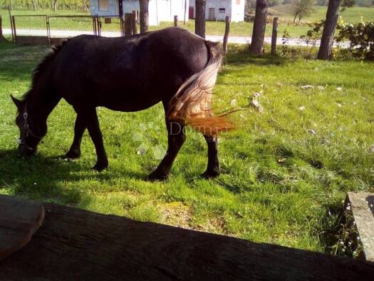 Haus zum Kauf 65.000 € 5 Zimmer 54 m² Gvozd