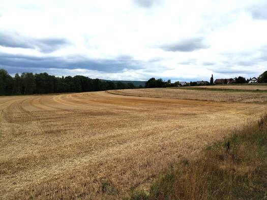 Gewerbegrundstück zum Kauf provisionsfrei 2.533 m² Grundstück Heubischer Straße Neustadt Neustadt b.Coburg 96465