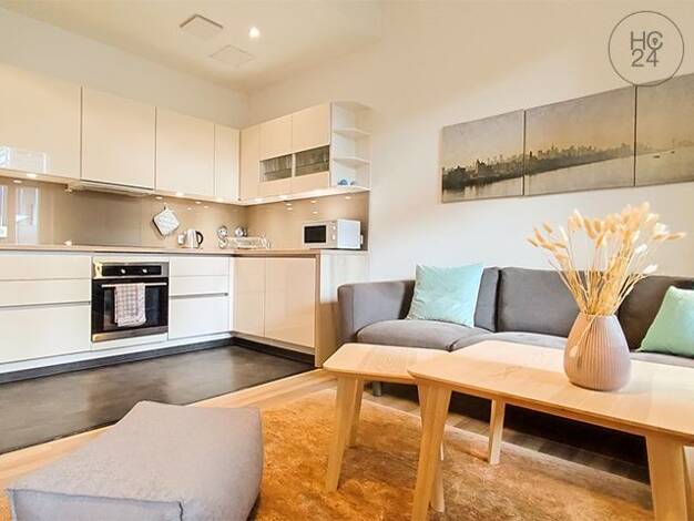 Wohnung zur Miete auf Zeit 1.500 € 3 Zimmer 75 m² frei ab 01.11.2026 Schleußig Südwest 04229