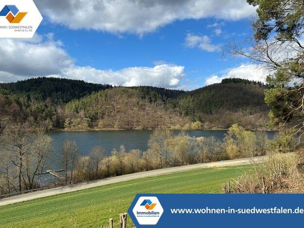 Einfamilienhaus zum Kauf 175.000 € 4 Zimmer 93 m² 923 m² Grundstück Harbshausen Vöhl 34516