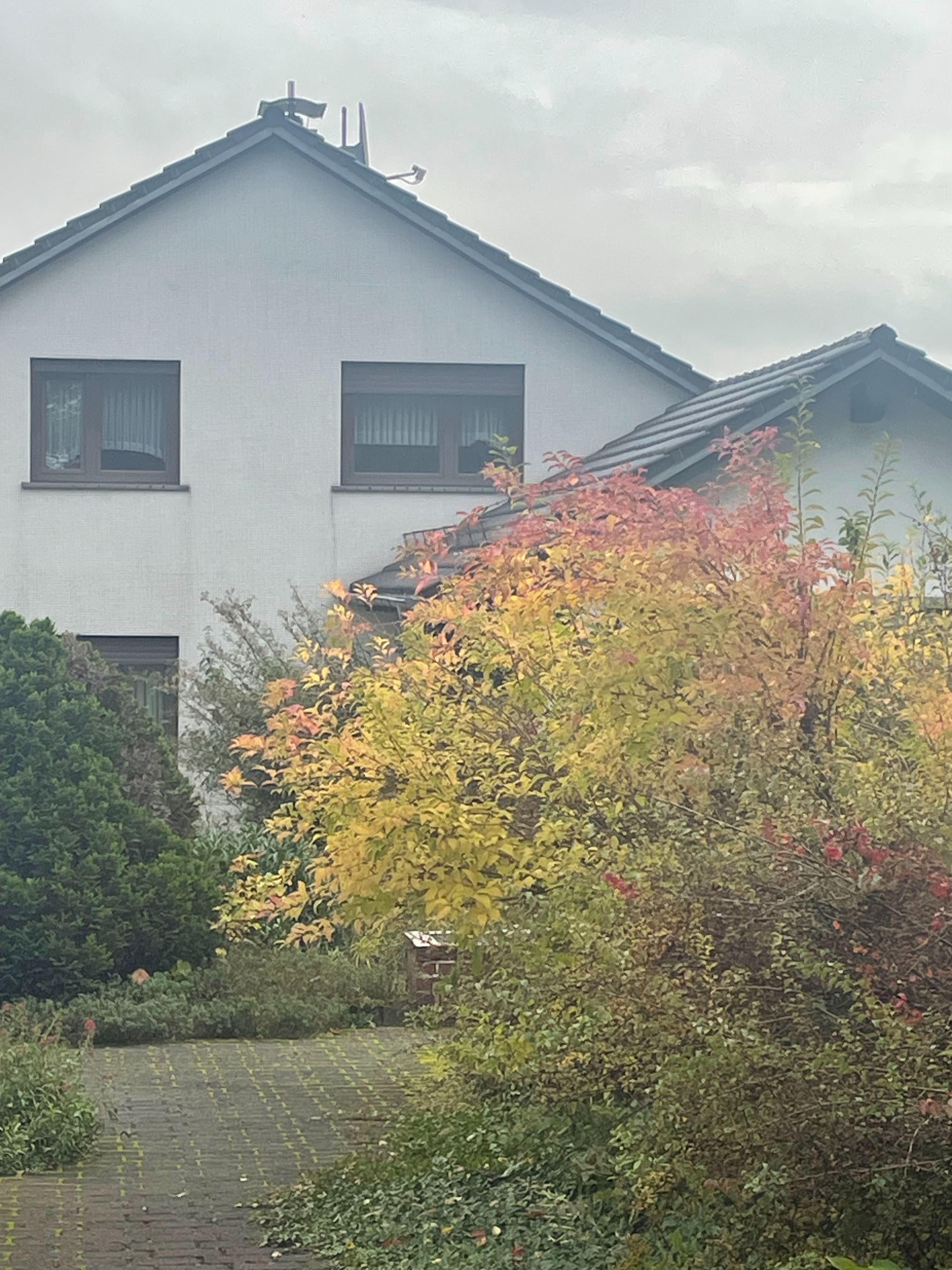 Einfamilienhaus zum Kauf 359.000 € 7 Zimmer 240 m²<br/>Wohnfläche 1.580 m²<br/>Grundstück Keuchingen Mettlach 66693