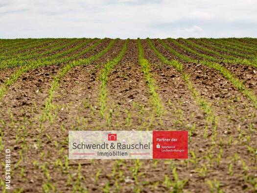 Land-/Forstwirtschaft zum Kauf 6.900 € 4.500 m² Grundstück Freienseen Laubach 35321