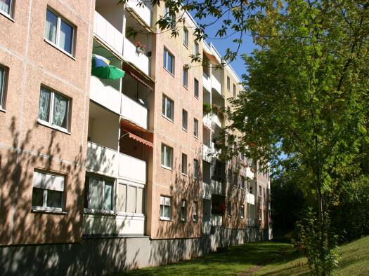 Studio zur Miete 201 € 1 Zimmer 35 m² 2. Geschoss frei ab sofort Dietrich-Bonhoeffer-Str. 104 Zeitz 06712