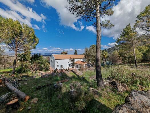 Landhaus zum Kauf 10.000.000 € 9 Zimmer 440 m² 9.700.000 m² Grundstück Ronda 29400