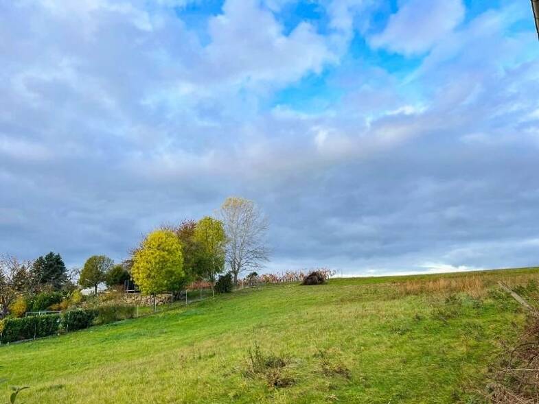 Grundstück zum Kauf 95.000 € 2.133 m² Grundstück Reichenbach Klipphausen 01665