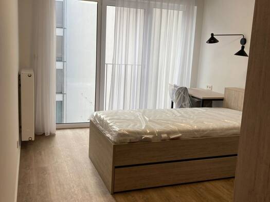 Wohnung zur Miete 690 € 1 Zimmer 18,5 m² frei ab sofort Gürtelstraße 36 Friedrichshain Berlin 10247