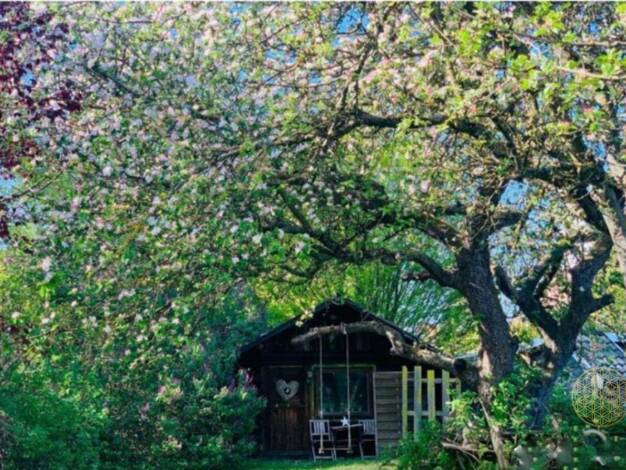 Einfamilienhaus zum Kauf 445.500 € 5 Zimmer 136 m² 658 m² Grundstück Schwarzenbek 21493