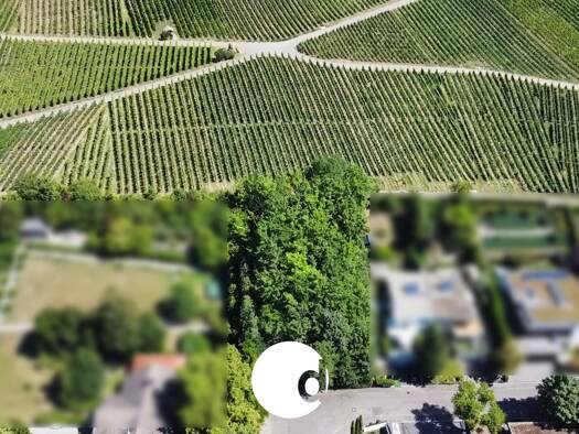 Grundstück zum Kauf 1.190.000 € 1.278 m² Grundstück Uhlbach Stuttgart 70329