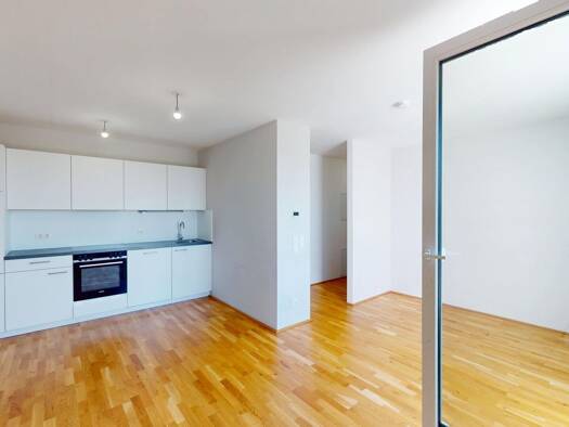 Wohnung zur Miete 964 € 3 Zimmer 65,1 m² frei ab sofort Hirschstettner Straße Donaustadt 1220