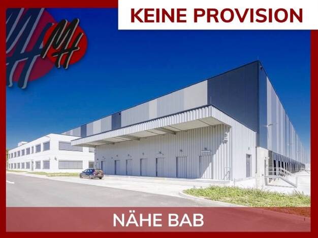 Lagerhalle zur Miete provisionsfrei 40.000 m² Lagerfläche teilbar ab 10.000 m² Rüsselsheim Rüsselsheim am Main 65428