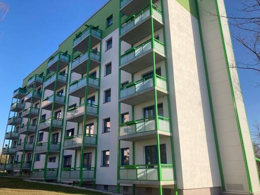 Studio zur Miete 216 € 1 Zimmer 30,2 m² 3. Geschoss Am Holländer 16 Döbeln 04720