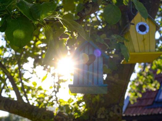 Doppelhaushälfte zum Kauf 801.924 € 6 Zimmer 151 m² 661 m² Grundstück Angelmodde Münster 48167