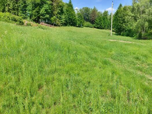 Land-/Forstwirtschaft zum Kauf 175.800 € 19.398 m² Grundstück Schwarzenberg am Böhmerwald 4164