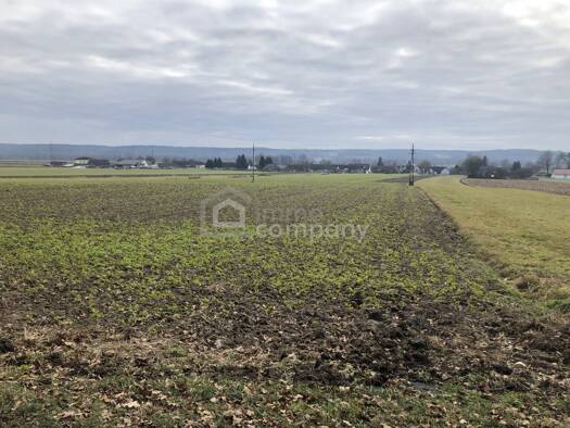 Grundstück zum Kauf 47.500 € 1.357 m² Grundstück Sankt Martin an der Raab 8380
