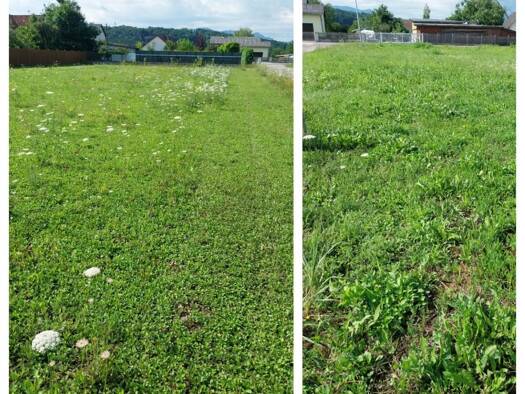 Grundstück zum Kauf 158.130 € 753 m² Grundstück Sierning 4522
