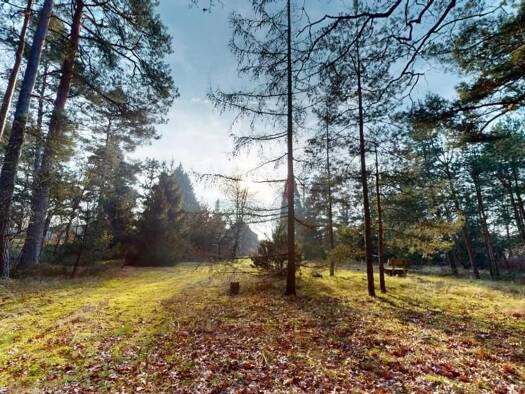 Bauernhaus zum Kauf 355.000 € 5 Zimmer 149 m² 10.947 m² Grundstück Stapel 19273