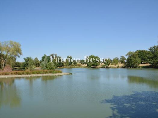 Einfamilienhaus zum Kauf 630.000 € 7 Zimmer 220 m² 93.988 m² Grundstück Moulins 03000