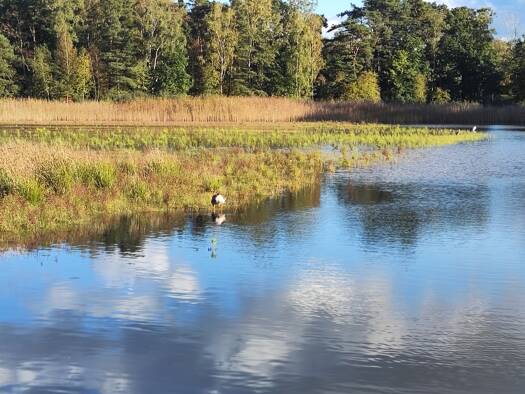 Freizeitgrundstück zum Kauf 99.000 € 1.200 m² Grundstück Kleinburgwedel Burgwedel 30938