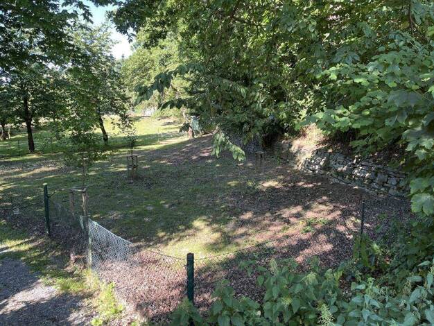 Freizeitgrundstück zum Kauf 51.000 € 6.795 m² Grundstück Bösingfeld Extertal-Bösingfeld 32699