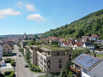 Wohnung zum Kauf 315.000 € 2 Zimmer 66 m² Tiengen Waldshut-Tiengen 79761