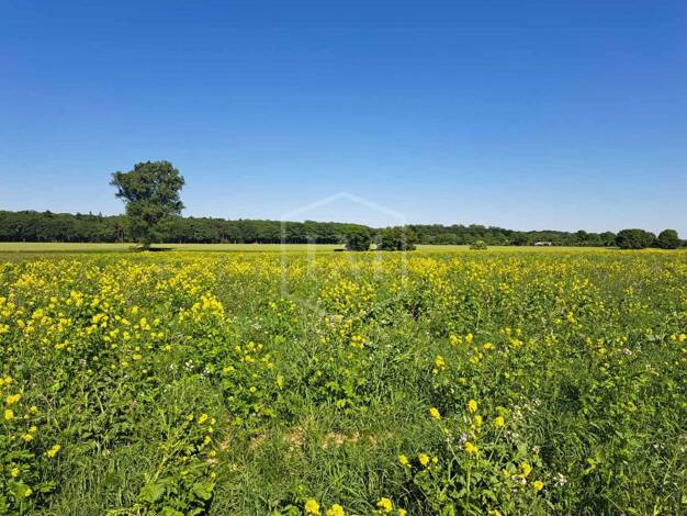 Landwirtschaftliche Fläche zum Kauf 245.000 € 17.400 m² Grundstück Rommerskirchen Rommerskirchen 41569