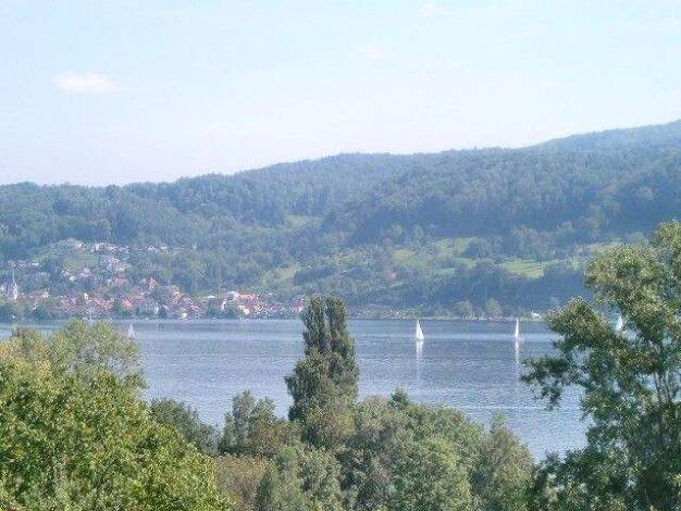 Wohnung zur Miete 940 € 3,5 Zimmer 74 m² 2. Geschoss frei ab sofort Gaienhofen 78343