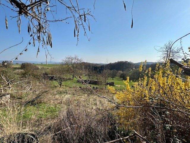 Immobilie in Johannesberg - Charmantes Einfamilienhaus für den Handwerker in attraktiver Lage - Bild 3