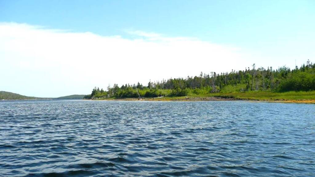 Grundstück zum Kauf provisionsfrei 49.800 € 15.330 m² Grundstück Upper Whitehead B0H 1T0