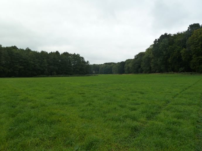 Forstwirtschaft zum Kauf 100 m²<br/>Fläche 920.000 m²<br/>Grundstück Wismar Uckerland 17337