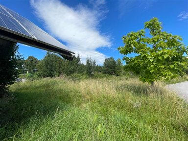 Land-/Forstwirtschaft zum Kauf 2.487 m² Grundstück Steingaden Steingaden 86989