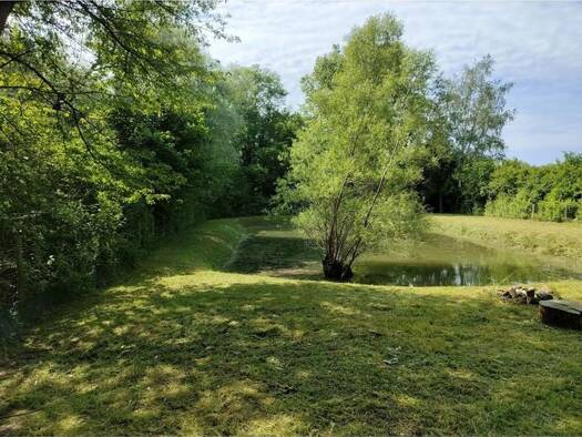Grundstück zum Kauf provisionsfrei 75.000 € 2.000 m² Grundstück frei ab sofort Iffezheim 76473