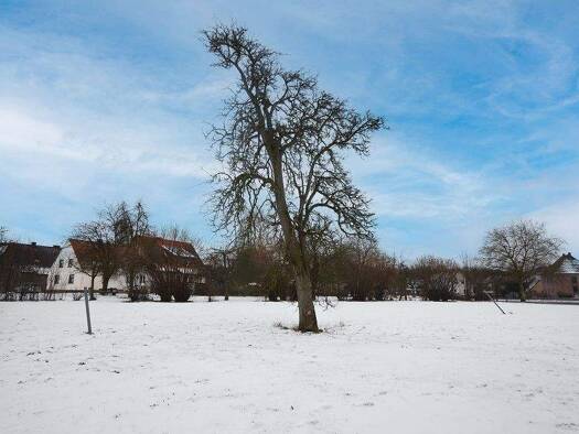 Grundstück zum Kauf 280.000 € 624 m² Grundstück Sutthausen Osnabrück 49082